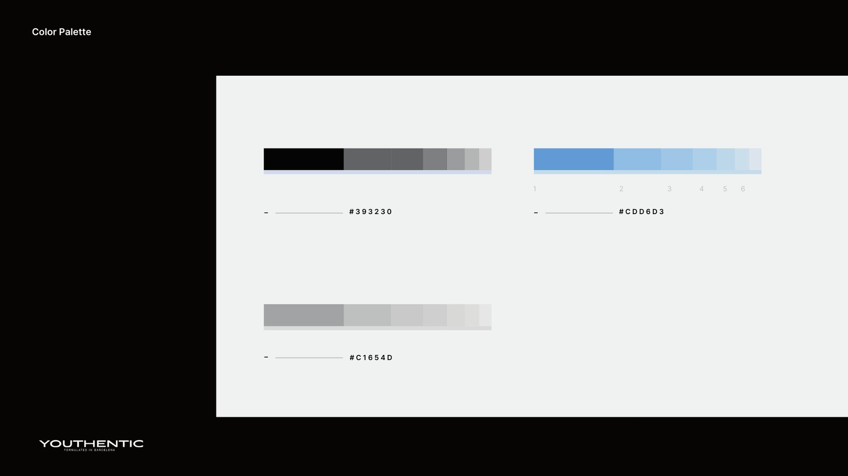 Youthentic — Youthentic Palette
